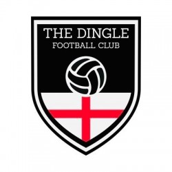 The Dingle FC